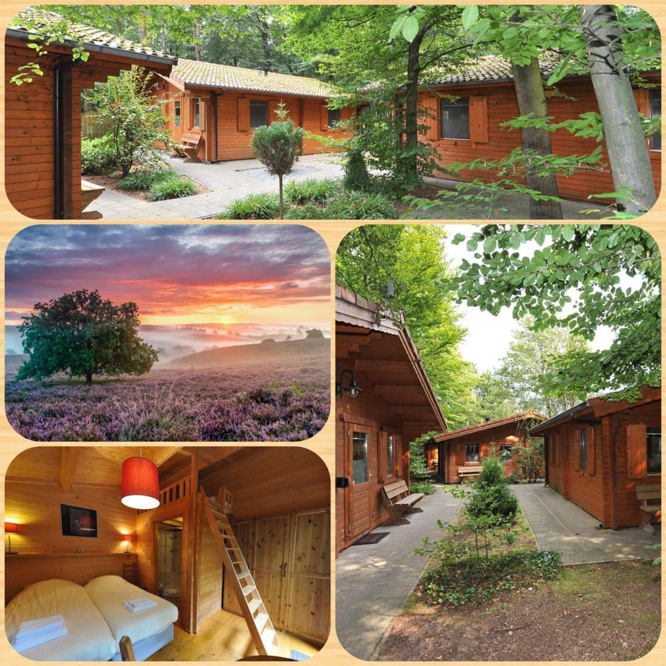 13 Beste Hotels voor Stellen in Gelderland voor een Onvergetelijk Verblijf